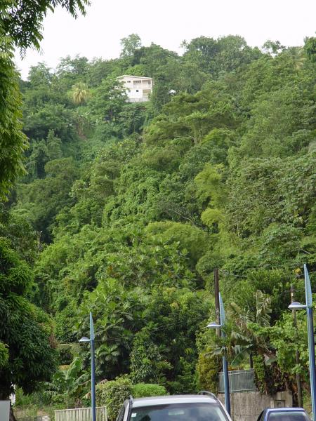 Martinique Juillet 2004